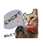 ハナさんのスタンプ！（個別スタンプ：32）