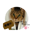 ハナさんのスタンプ！（個別スタンプ：33）