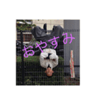 ピンキーズ！！！（個別スタンプ：4）