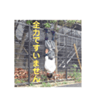 ピンキーズ！！！（個別スタンプ：16）