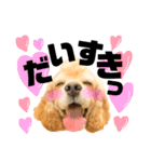 世界一可愛いとまとくん（個別スタンプ：8）