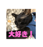 我が家のアイドルクロロちゃん（個別スタンプ：7）