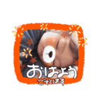 6人家族（個別スタンプ：1）