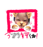 6人家族（個別スタンプ：7）