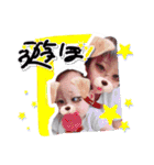 6人家族（個別スタンプ：17）