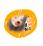 6人家族（個別スタンプ：26）