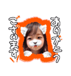 6人家族（個別スタンプ：27）