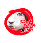 6人家族（個別スタンプ：37）