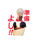 松永さんちのスタンプ 2019-1（個別スタンプ：7）