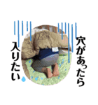 松永さんちのスタンプ 2019-1（個別スタンプ：30）
