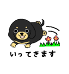 ブラックタンの子犬3（個別スタンプ：1）