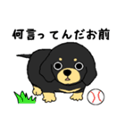 ブラックタンの子犬3（個別スタンプ：4）