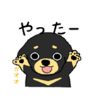 ブラックタンの子犬3（個別スタンプ：5）