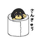 ブラックタンの子犬3（個別スタンプ：11）