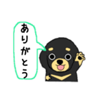 ブラックタンの子犬3（個別スタンプ：38）