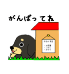 ブラックタンの子犬3（個別スタンプ：40）