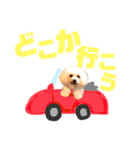 トイプードルのCoochan日常スタンプ第3弾（個別スタンプ：1）