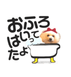 トイプードルのCoochan日常スタンプ第3弾（個別スタンプ：12）
