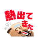 トイプードルのCoochan日常スタンプ第3弾（個別スタンプ：14）