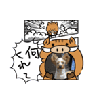 癒しのヨークシャテリア③（個別スタンプ：3）
