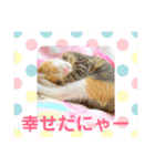 にゃんにゃん(=^x^=)（個別スタンプ：4）
