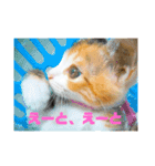 にゃんにゃん(=^x^=)（個別スタンプ：12）