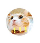 にゃんにゃん(=^x^=)（個別スタンプ：14）