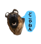 ディランと愉快な仲間たち パート2（個別スタンプ：3）