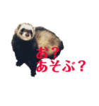 ディランと愉快な仲間たち パート2（個別スタンプ：7）