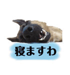 ディランと愉快な仲間たち パート2（個別スタンプ：9）