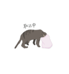 team猫（個別スタンプ：1）