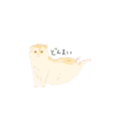 team猫（個別スタンプ：2）