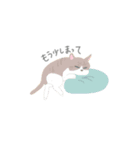 team猫（個別スタンプ：3）