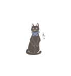 team猫（個別スタンプ：4）