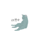 team猫（個別スタンプ：5）