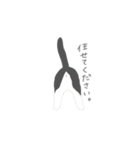 team猫（個別スタンプ：7）