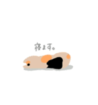 team猫（個別スタンプ：11）