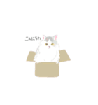 team猫（個別スタンプ：12）