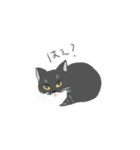 team猫（個別スタンプ：16）