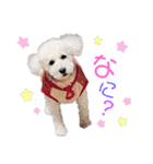 めめスタンプ1（個別スタンプ：3）