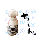 めめスタンプ1（個別スタンプ：9）