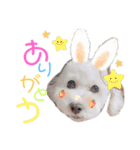 めめスタンプ1（個別スタンプ：12）
