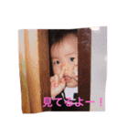 K家の三姉妹（個別スタンプ：22）