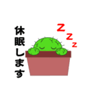 サボテンキャラスタンプ（個別スタンプ：5）