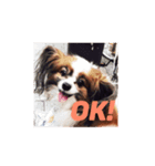 愛犬ショコラ♡スタンプ（個別スタンプ：3）