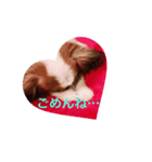 愛犬ショコラ♡スタンプ（個別スタンプ：4）