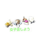 海亀女子（個別スタンプ：1）