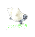 海亀女子（個別スタンプ：3）