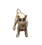 くまといっしょ（個別スタンプ：17）