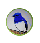 可愛さ満点の野鳥（個別スタンプ：1）